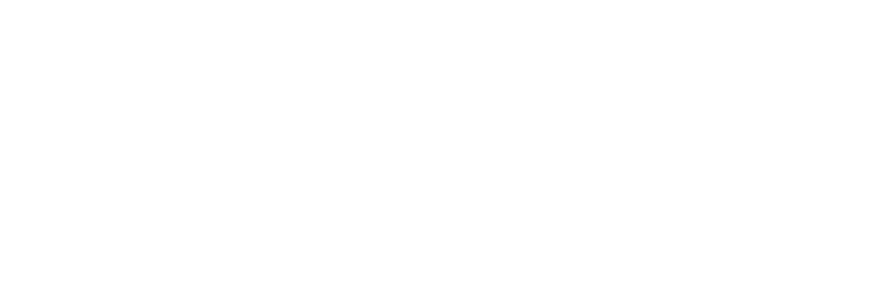 RoboGoose Games